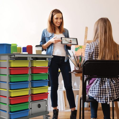 Steam-roller-cart-lifestyle-500x350-1-scaled